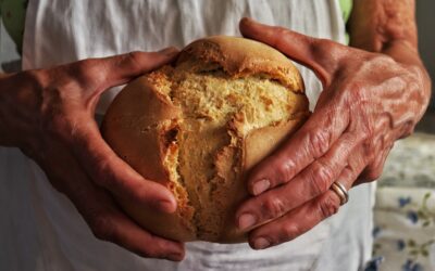 I benefici del pane con farine di grani antichi e lievito madre